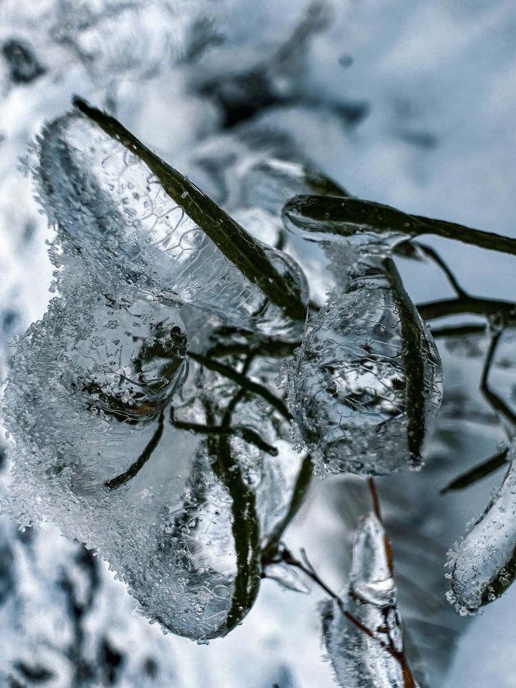 Photograph by Maria Kurakhtanova