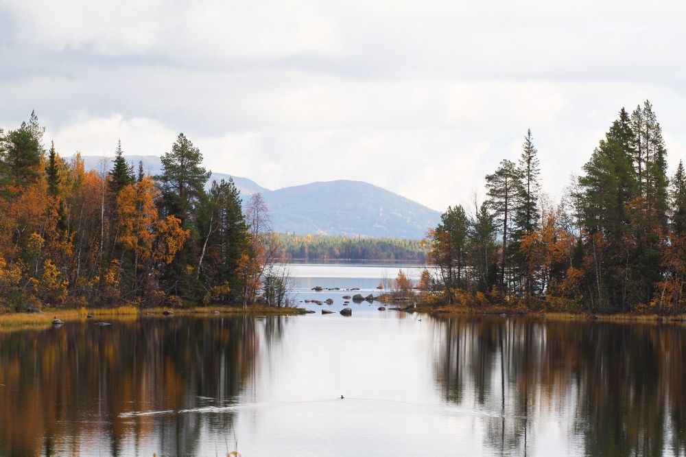 Photograph by Ирина Ахбаш