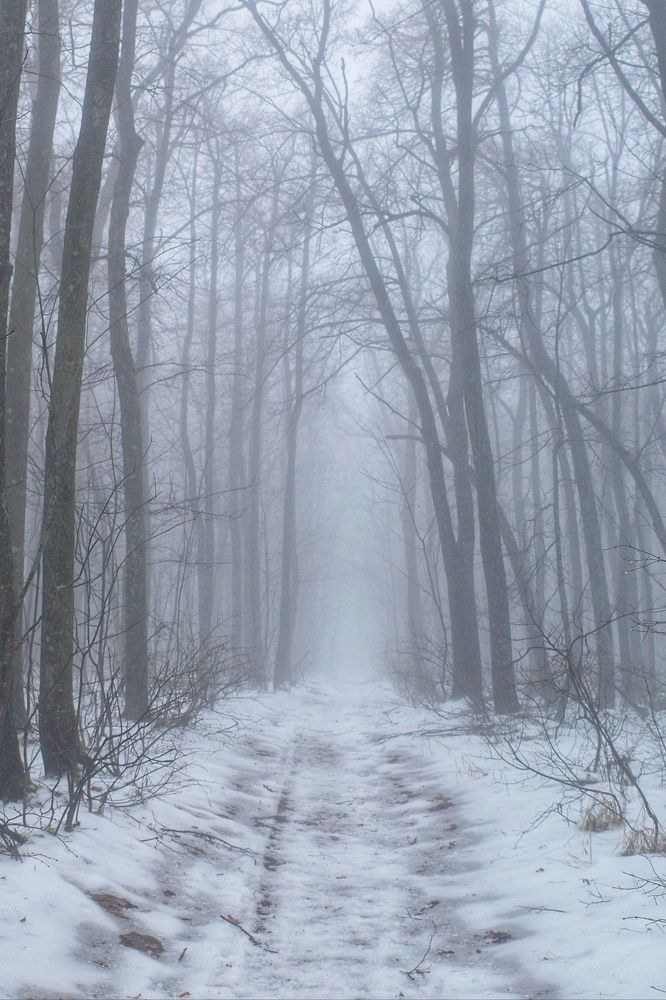 Photograph by Алла Никушкина