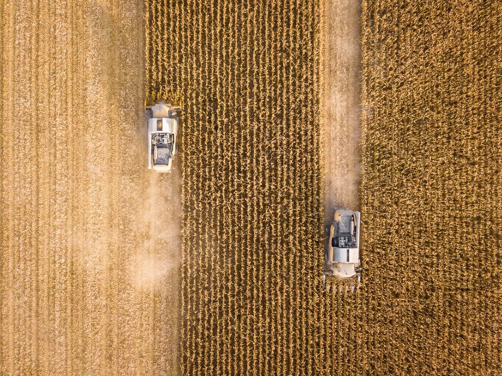 Photograph by Attila Tamas