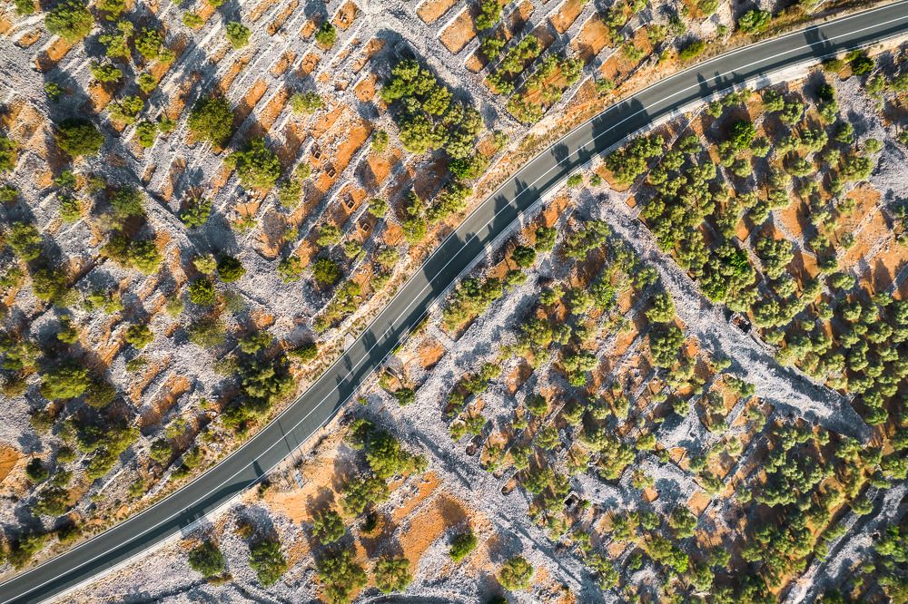 Photograph by Attila Tamas