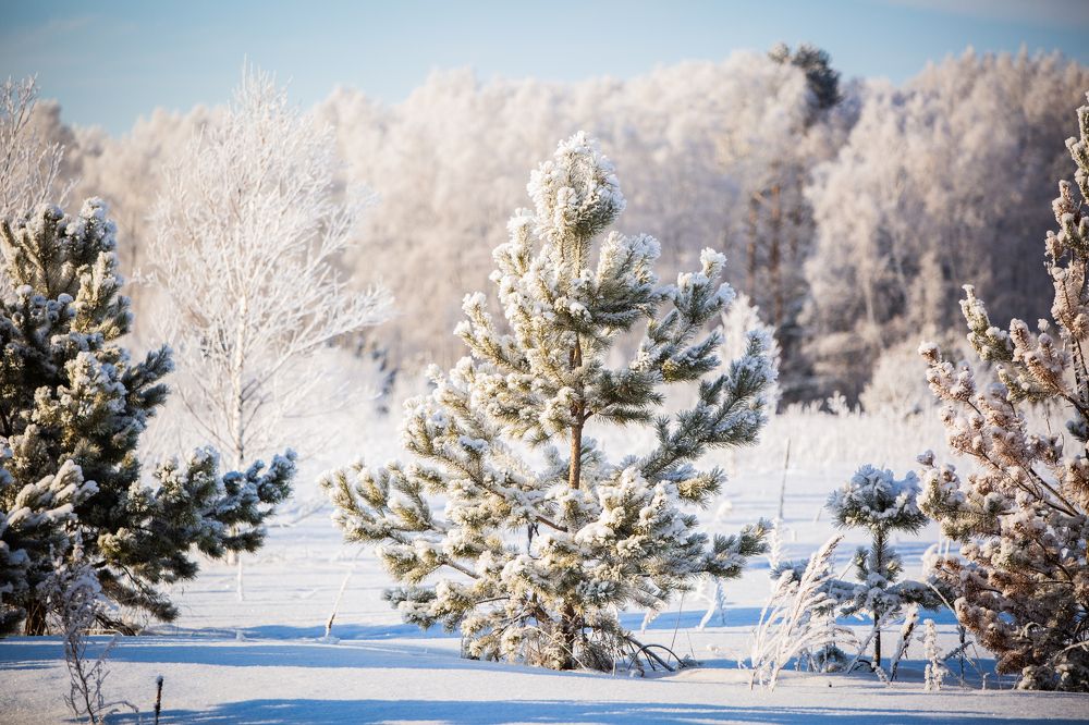 Фотография автора Алексей Новиков