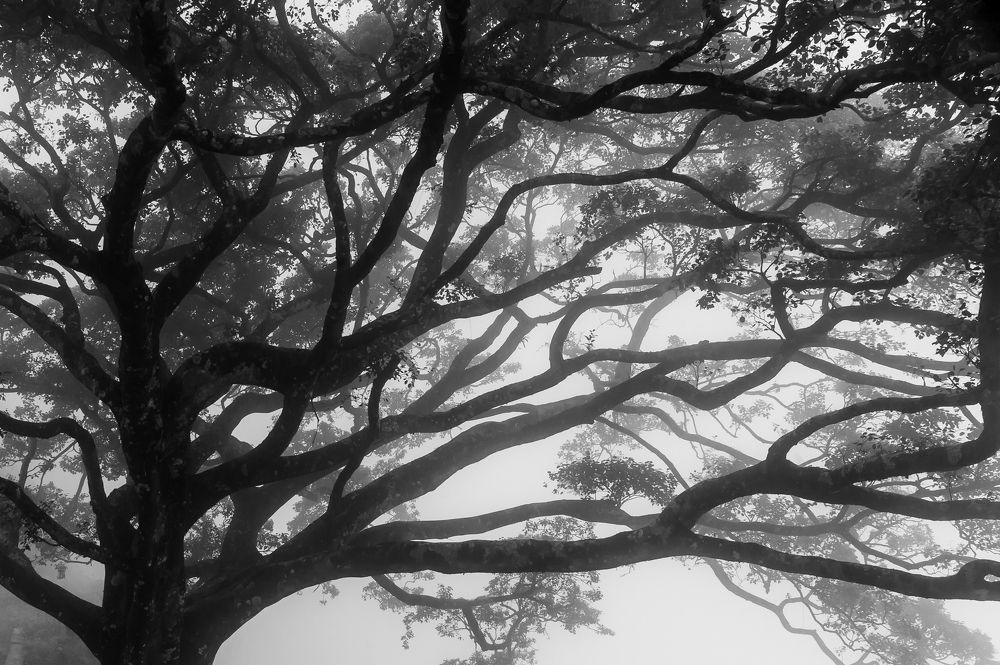 Photograph by Jayaram Prajapati