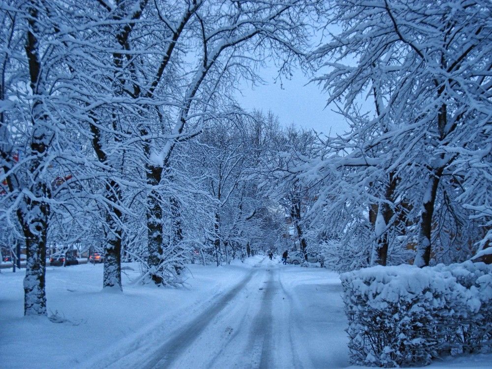 Photograph by София Гавриловна Вотякова