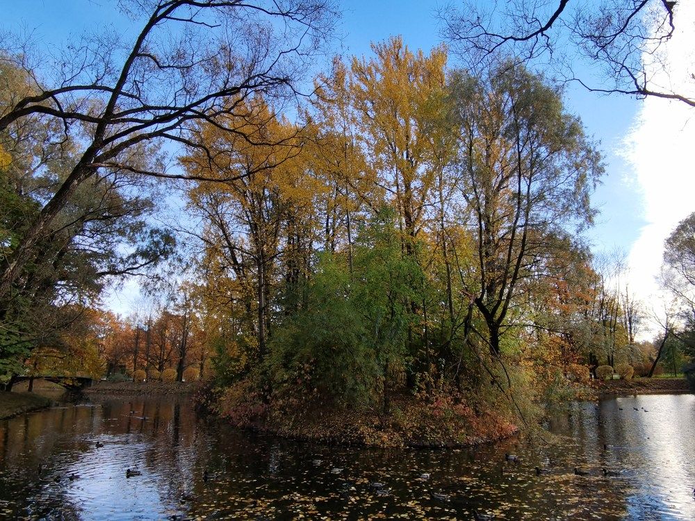 Photograph by Виталий Кореньков