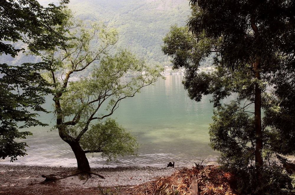 Photograph by Наталья Задерновская