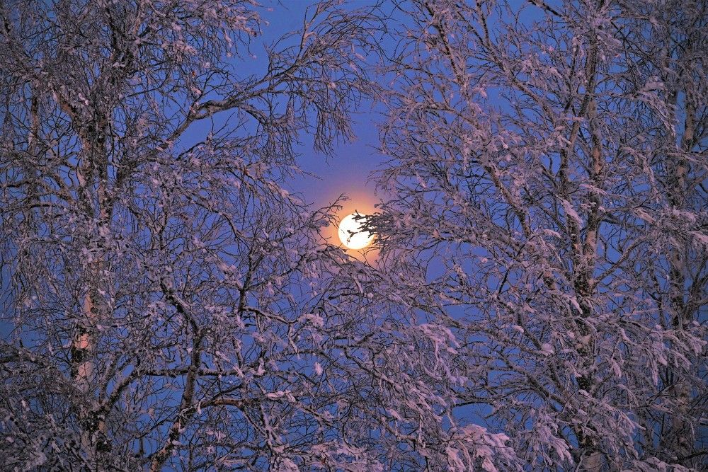 Photograph by Сергей Зубов