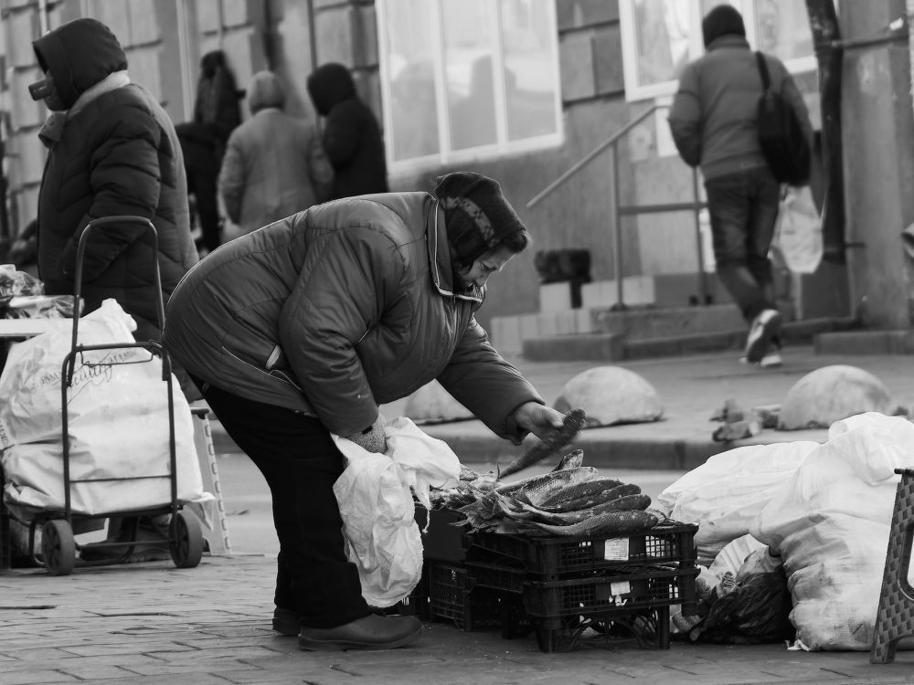 Photograph by Леонид Сергеев