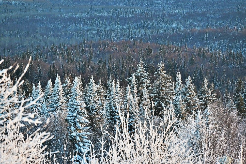 Photograph by Сергей Зубов