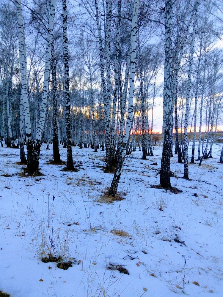 Photograph by Ирина Владимировна