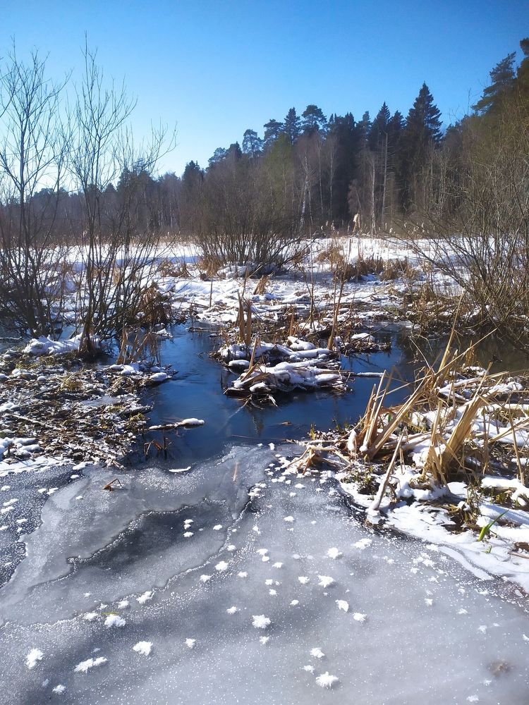 Photograph by Елена Смирнова