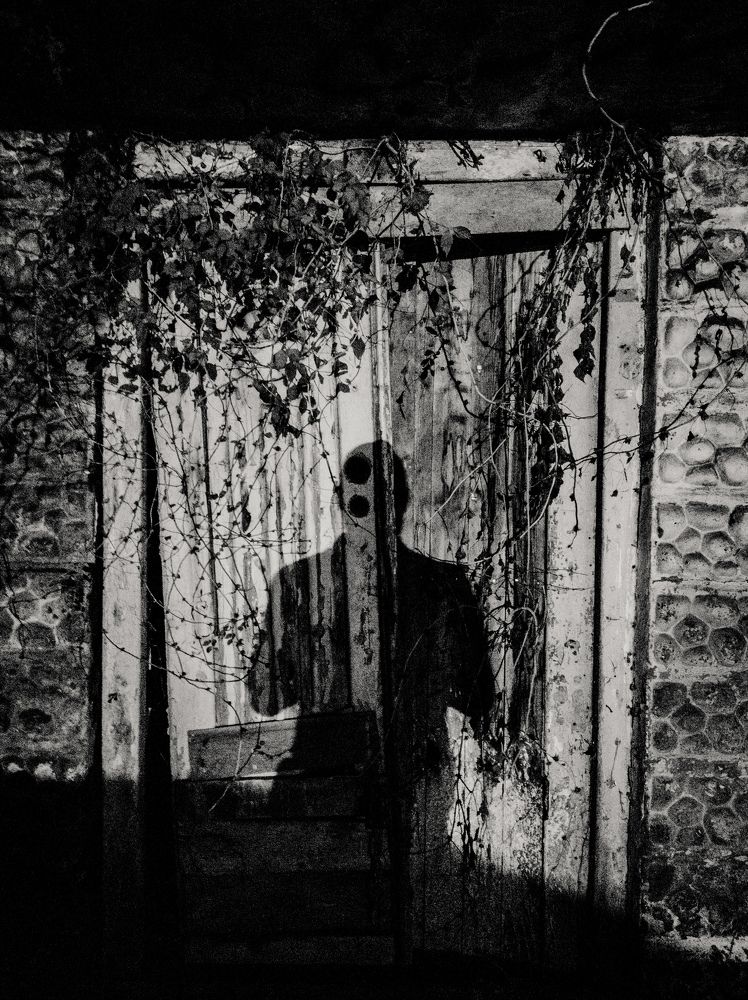 Photograph by Mohammad Mazareiy