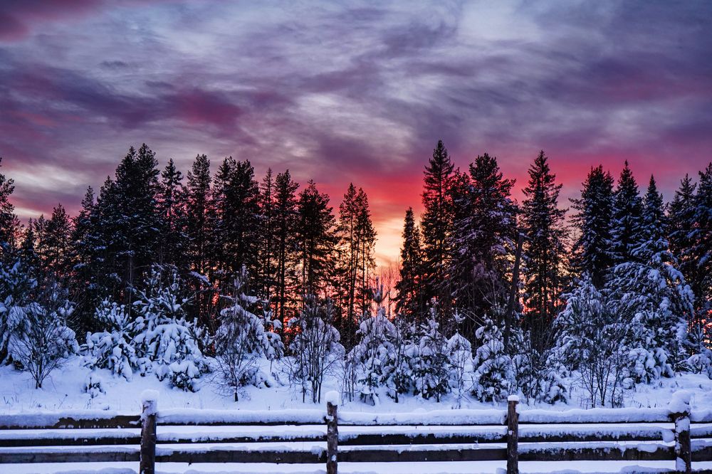 Photograph by Екатерина Корчик