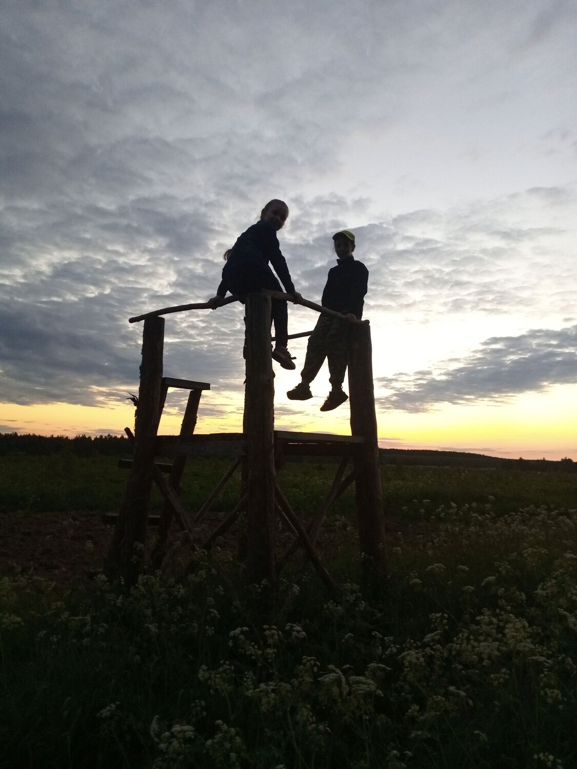 Photo #8511399