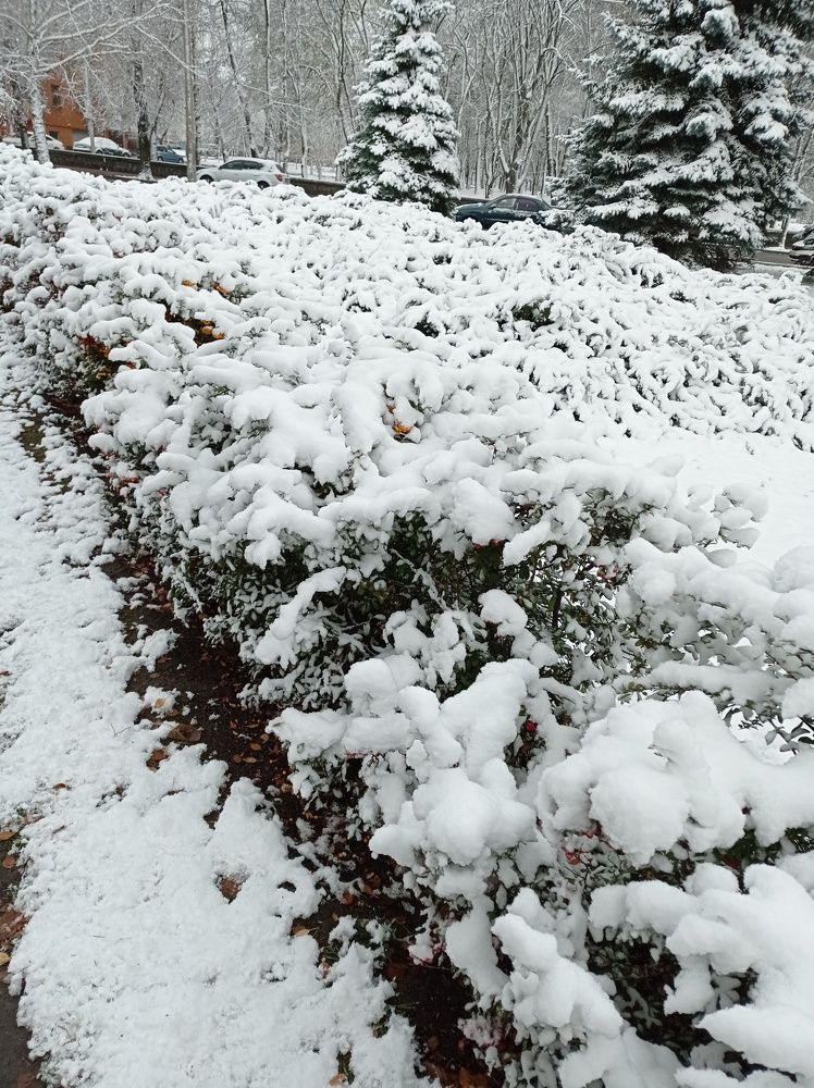 Photograph by Ирина Марченко