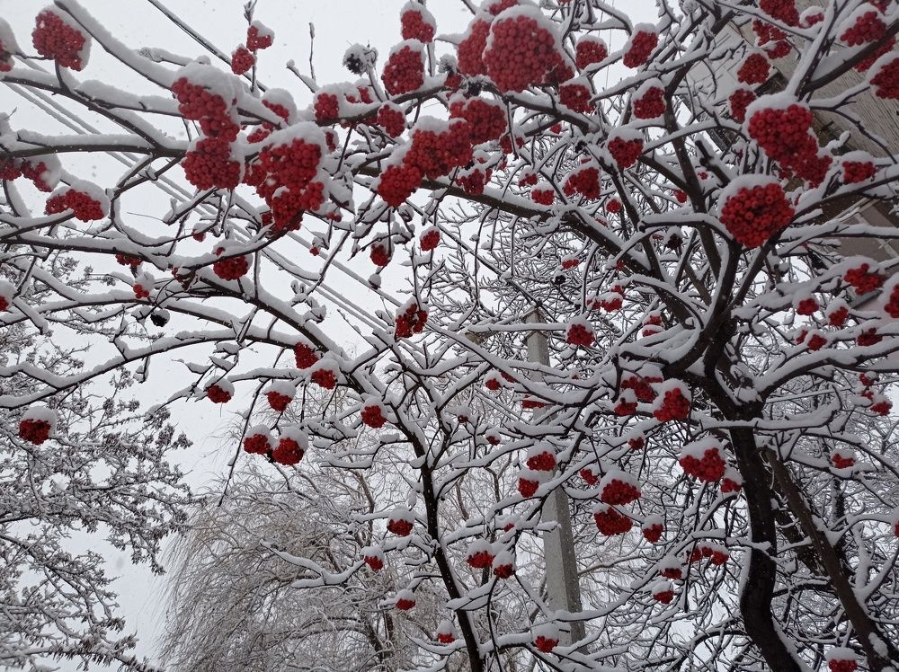 Photograph by Ирина Марченко