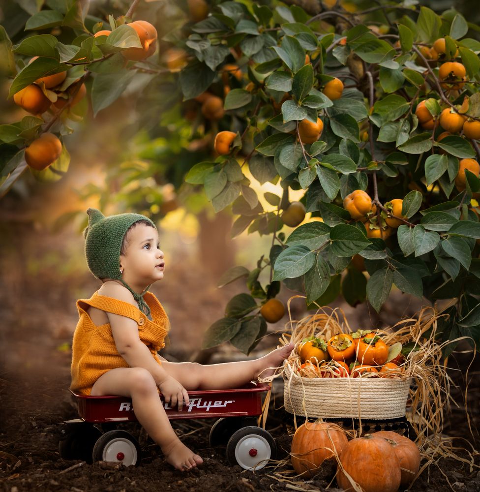 Photograph by Hamutal Avioz