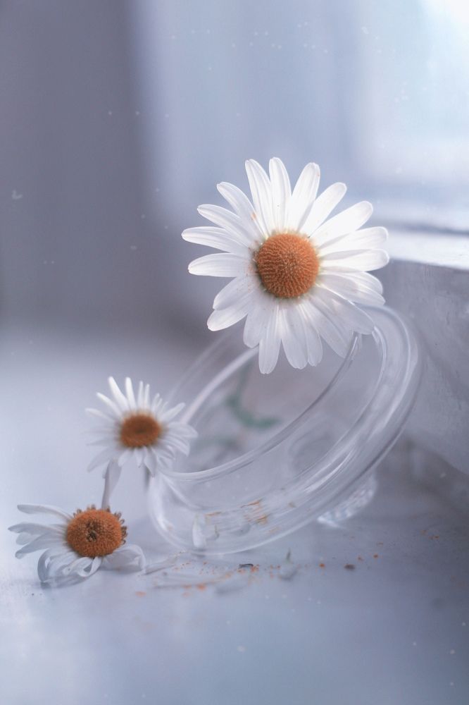 Photograph by Ирина Ахбаш