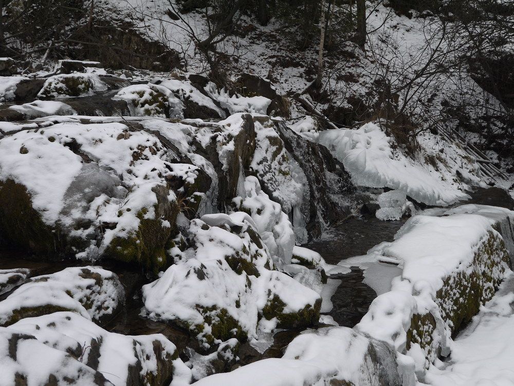 Photograph by Баженова Наталья