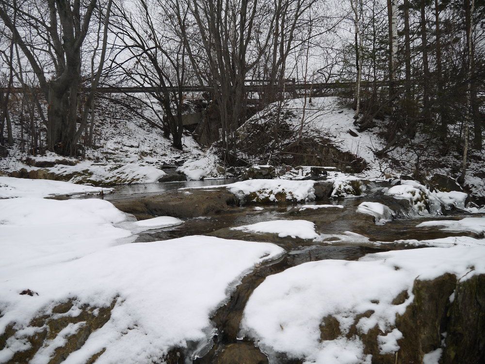 Photograph by Баженова Наталья