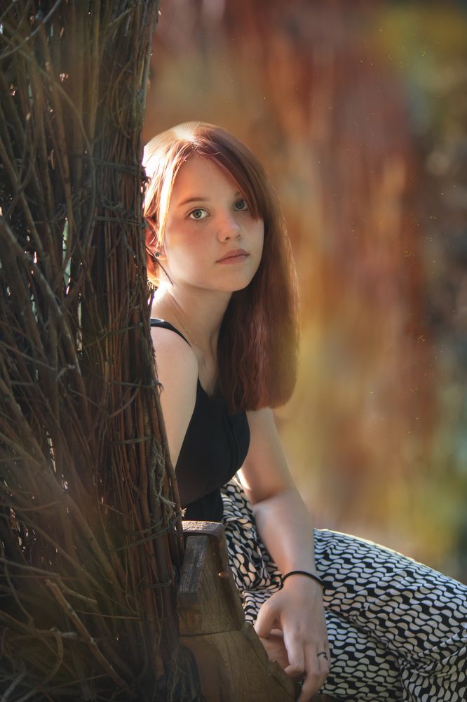 В лучах заката