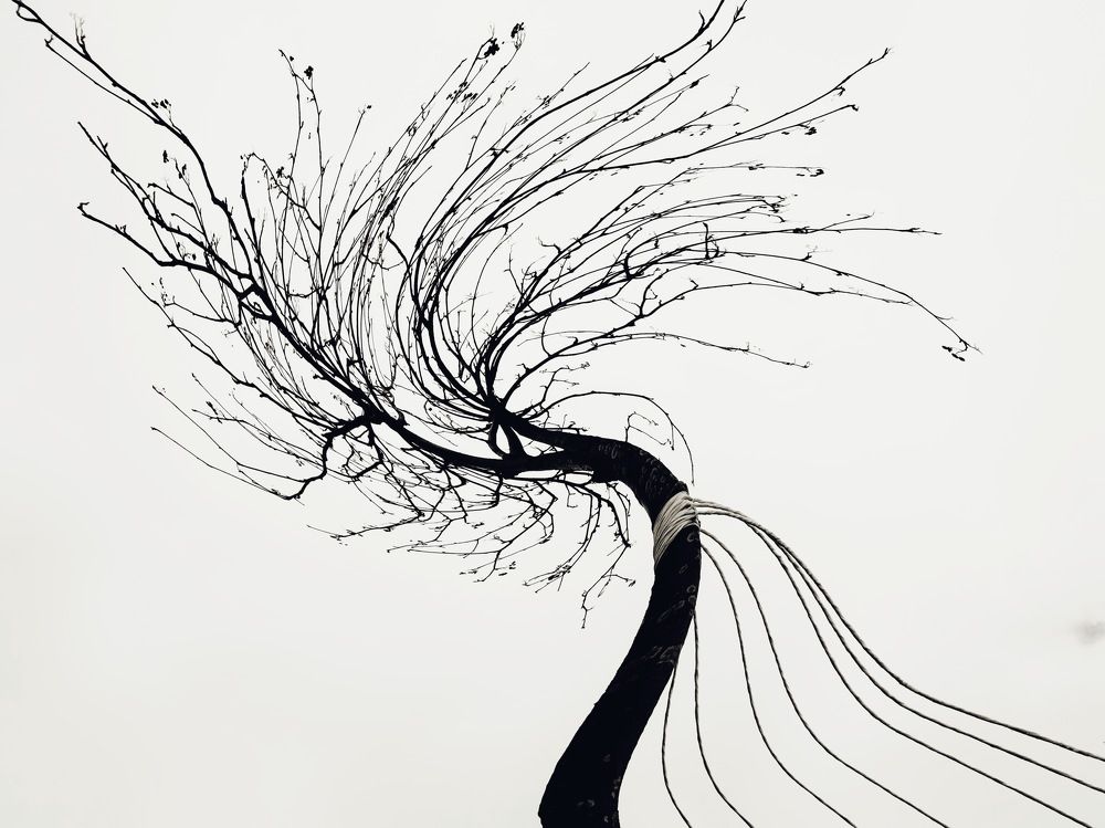 Photograph by Evgenia Barinova