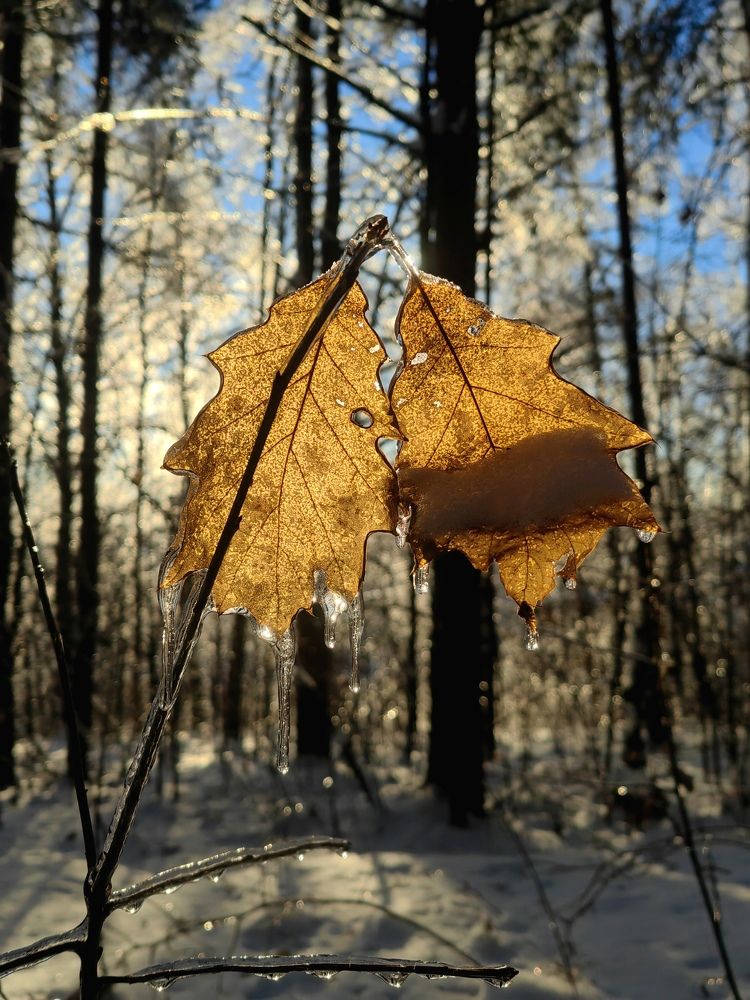 Photograph by Полина