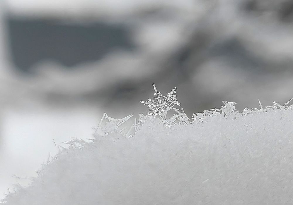 Photograph by Полина