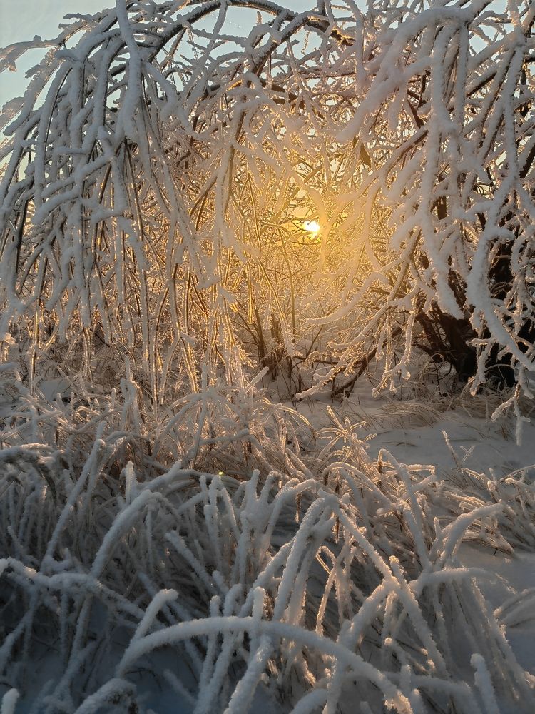 Photograph by Полина