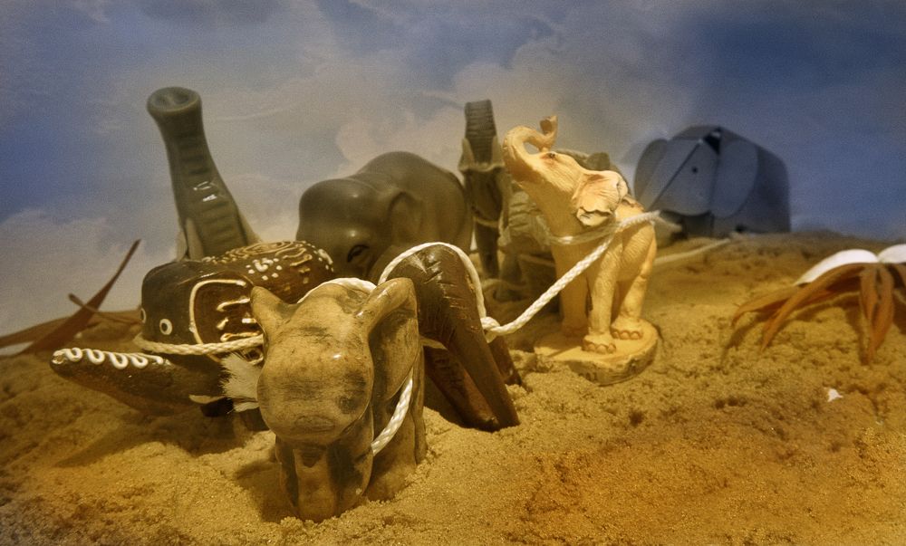 Photograph by Михаил Бронников