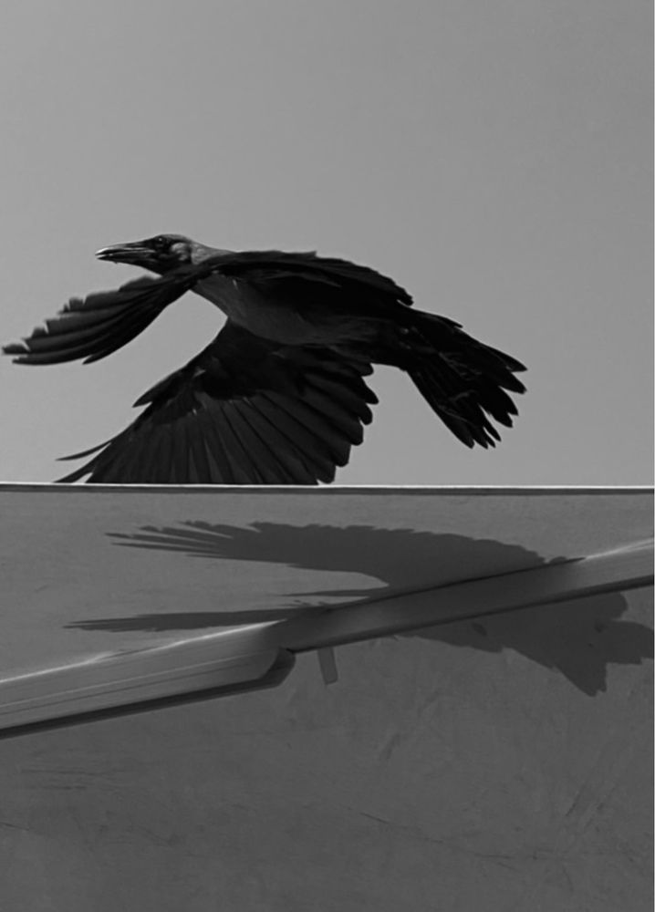 Фотография автора ГУЗАЛИЯ ГАНИЕВА