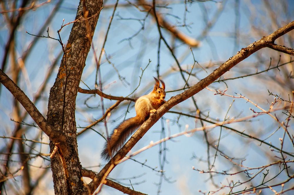 Photograph by Виктория Бобылева