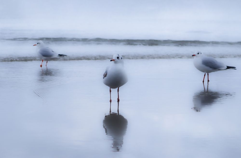 Photograph by Жанна Рабцевич