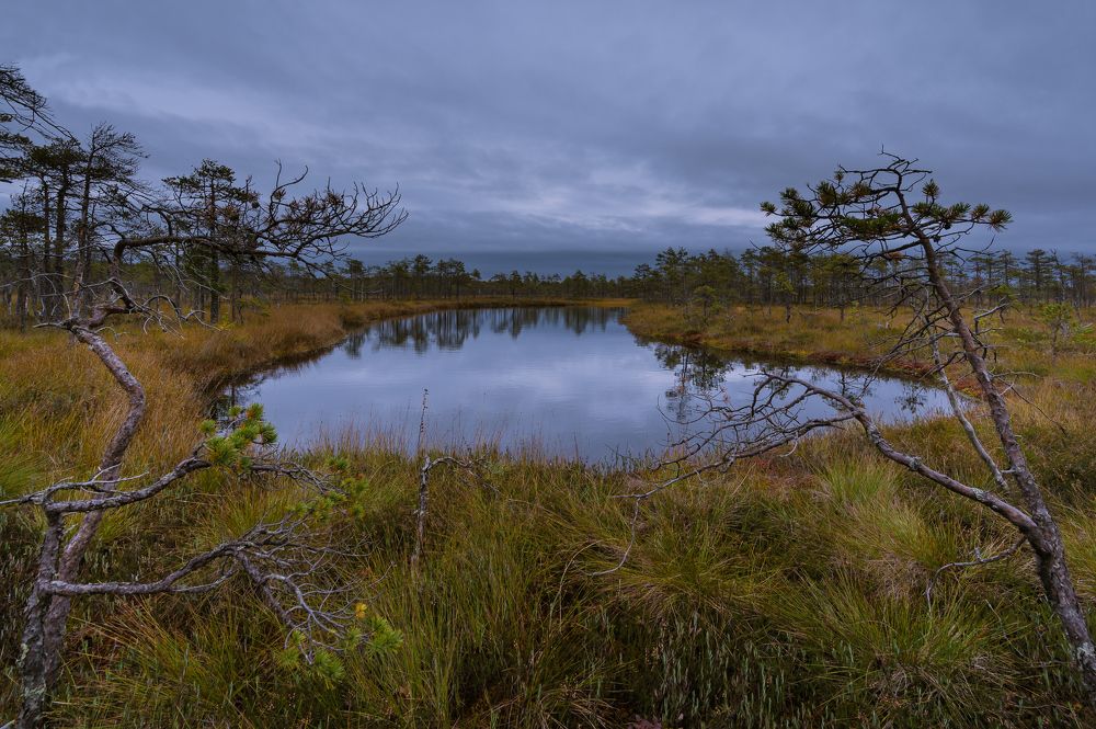 Photograph by Бабурин Олег