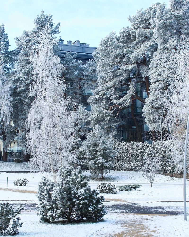 Photograph by Сусанна Аллаярова