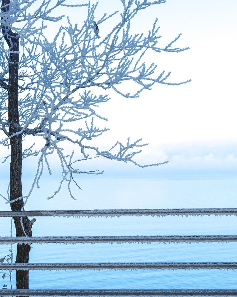 Photograph by Сусанна Аллаярова