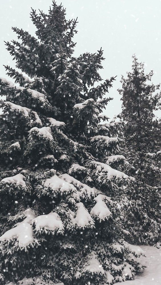 Photograph by Liudmila Kirillova