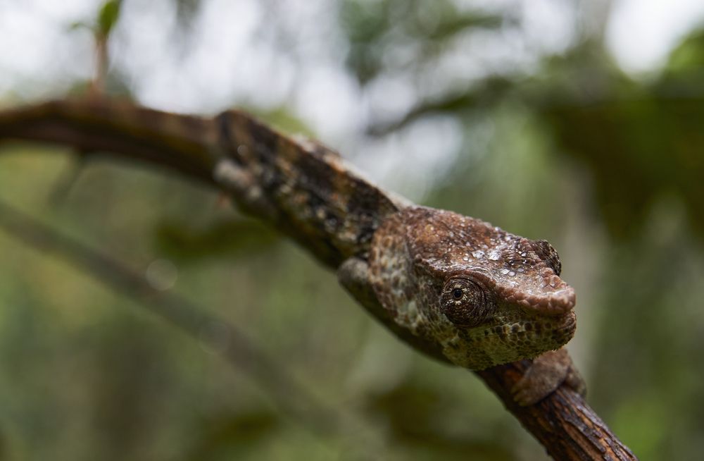 Photograph by Александр Гиль
