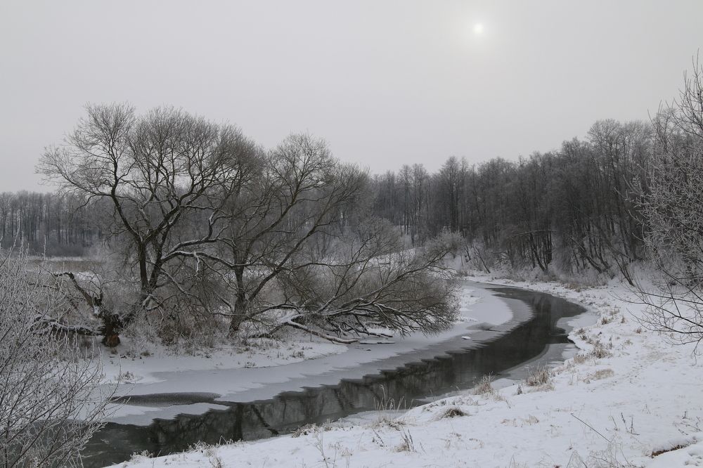 Фотография автора Сергей Кульков