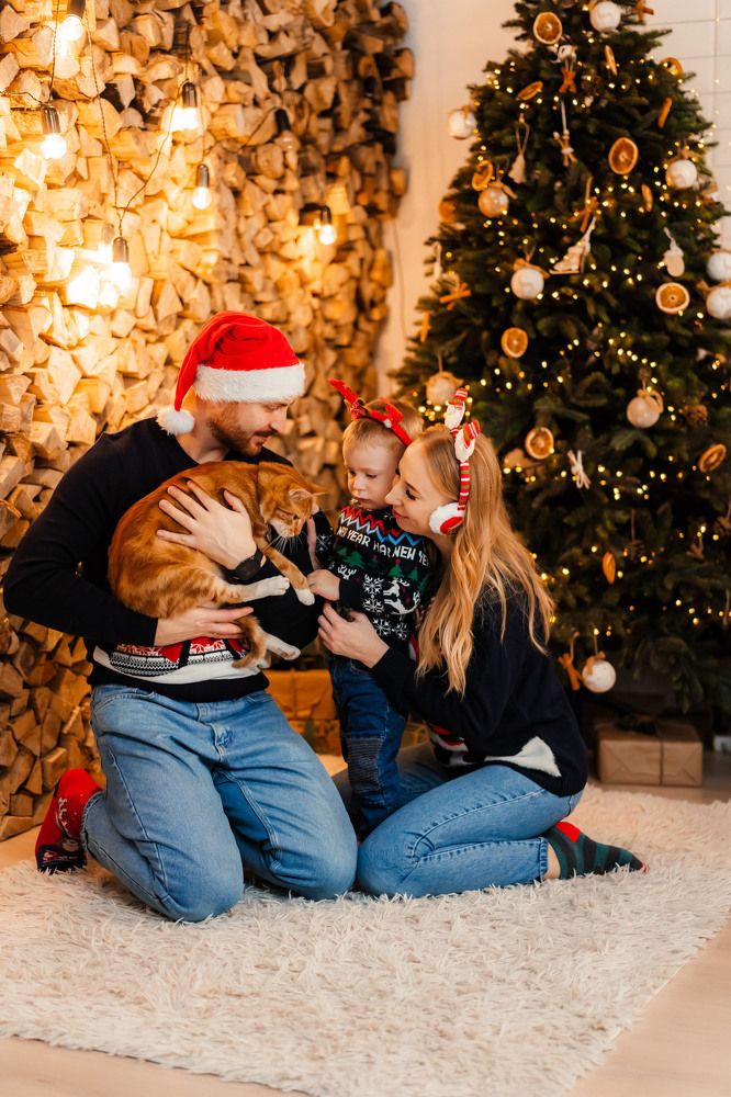 Рыжие истории