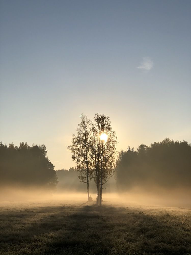 Фотография автора Сергей Ефимов