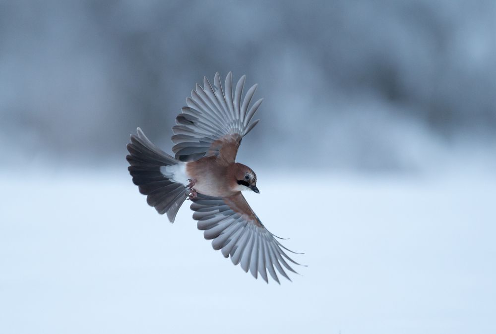 Photograph by Valerijs Bukovskis