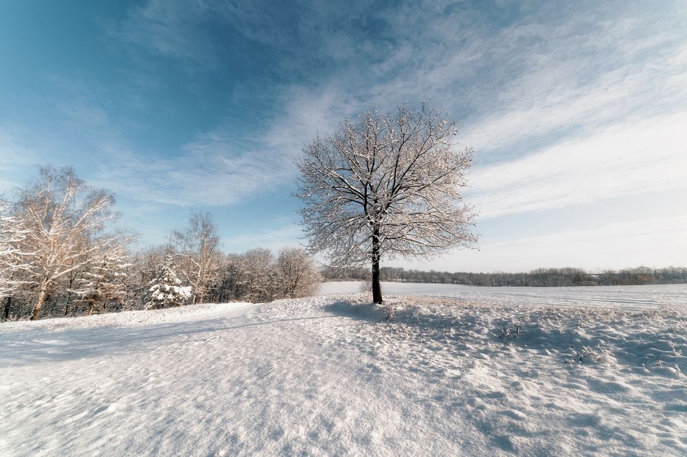 Фотография автора Oleg Suhenko