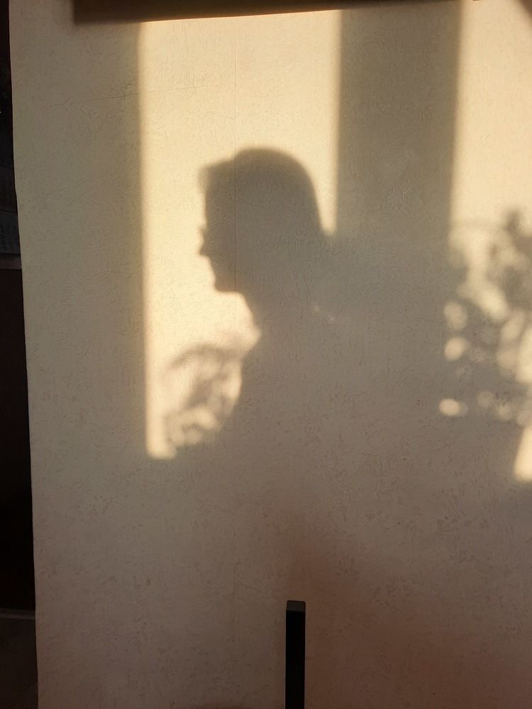 Фотография автора Елена Запертова