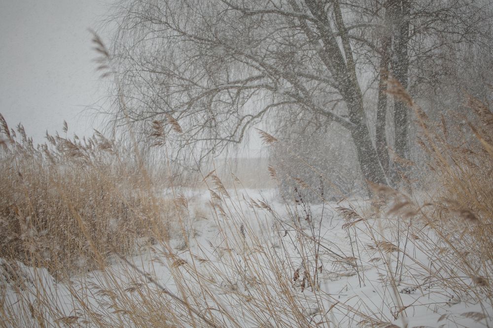 Photograph by Janetta Sereda