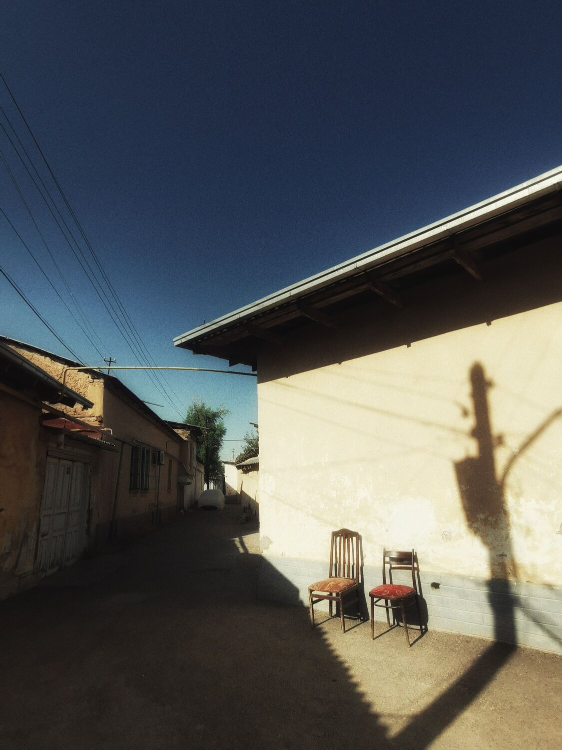 Photo #8512249