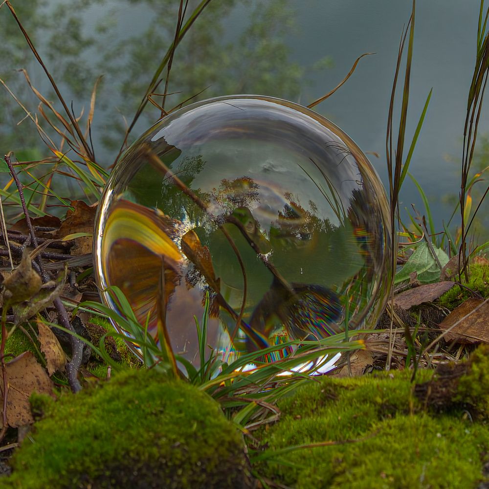 Фотография автора Julia A Caesar