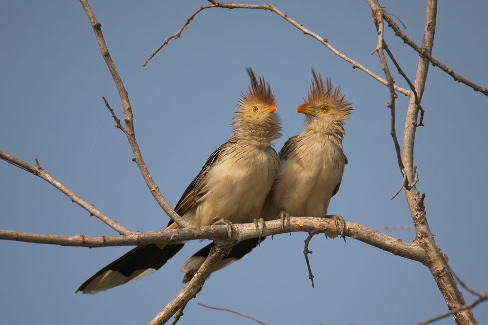 Photograph by Игорь Щербаков
