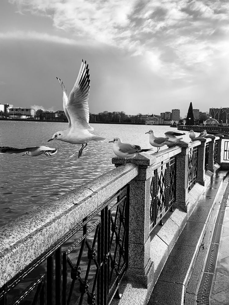 Photograph by Екатерина Балакина