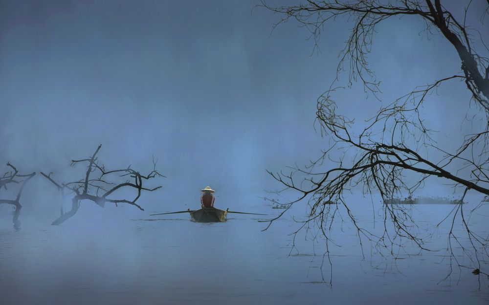 Photograph by long dương